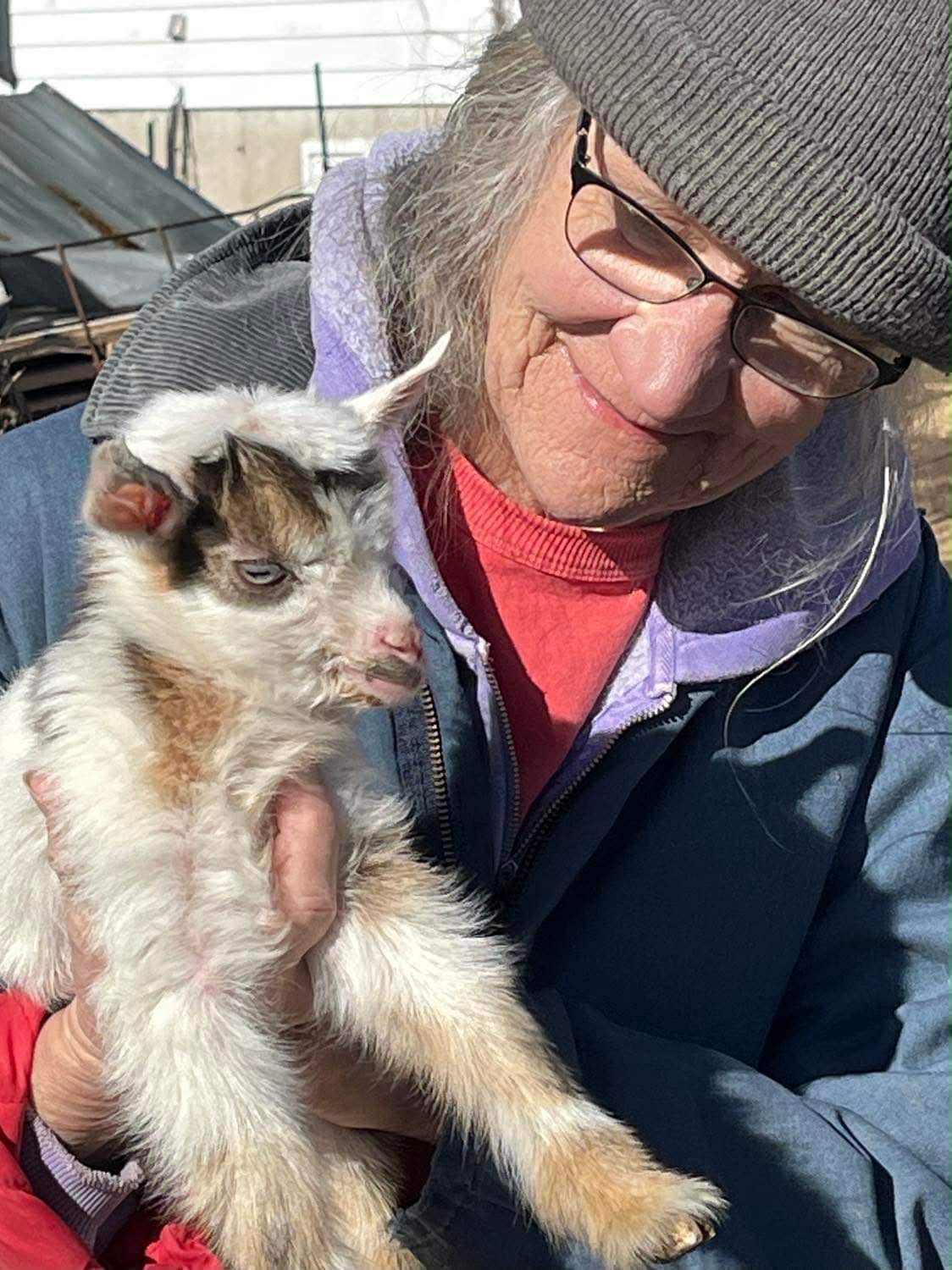 A fresh baby at Tenacity Acres
